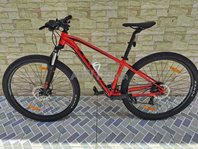 VTT Scott 29 - 2