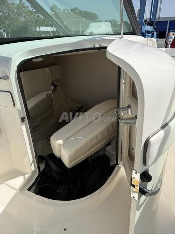 Searay SLX 300
