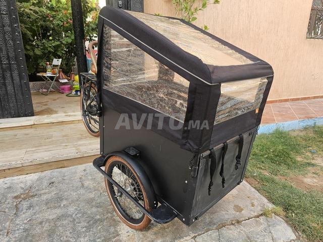 Vélo Cargo Électronique - 2