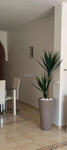 Appartement à Marina - 2