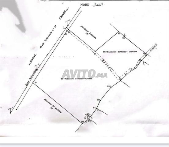 Terrain pour projet touristique - 2