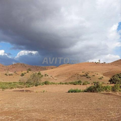 Terrain agricole nu à vendre - 2