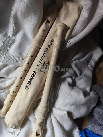 مزمار ريكوردر ياماها أصلي Yamaha YRS-23 Recorder