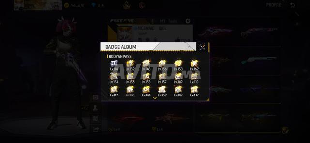 Compte Free Fire à vendre - 2