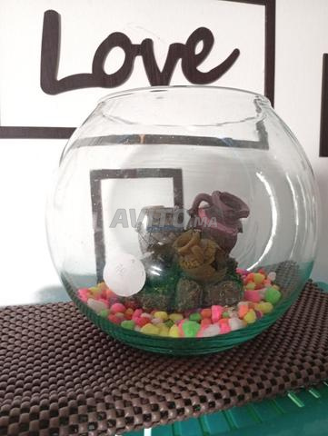 Décoration unique pour aquariums. - 2