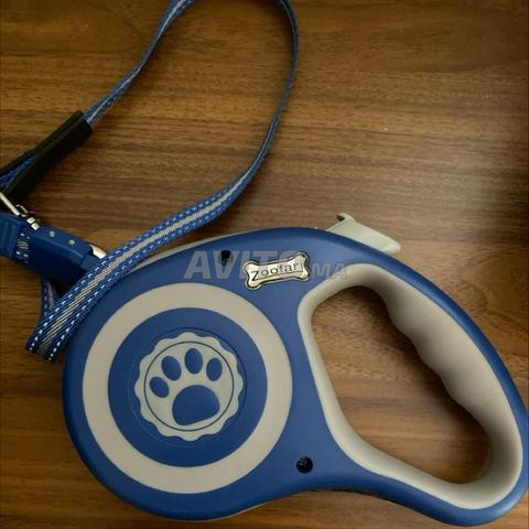 Laisse de chien 5m