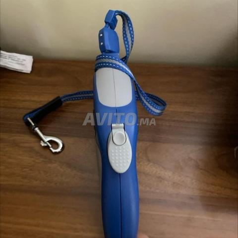Laisse de chien 5m - 2