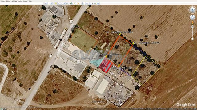 BEAU TERRAIN borné 1000 M2 AIN NOQBI