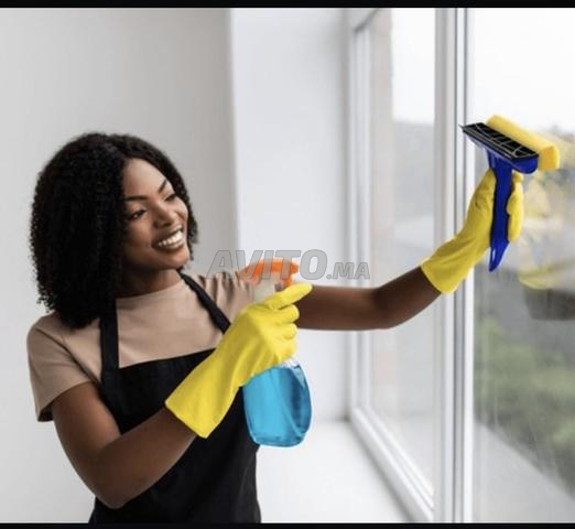 Ménagère baby-sitting cuisinière disponible - 2