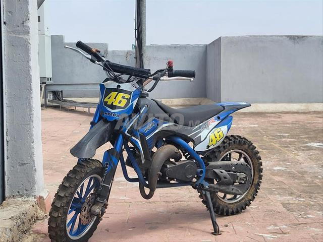 Nouvelles piwias - 2