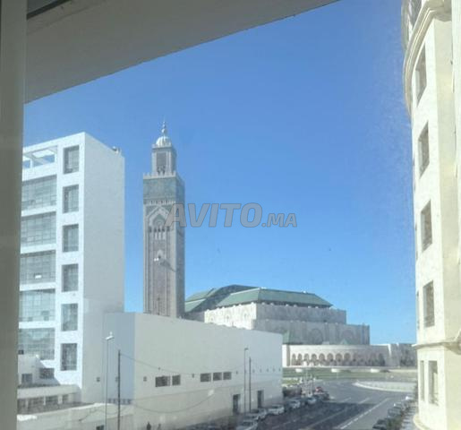 جميع شقق الكراء بوركون