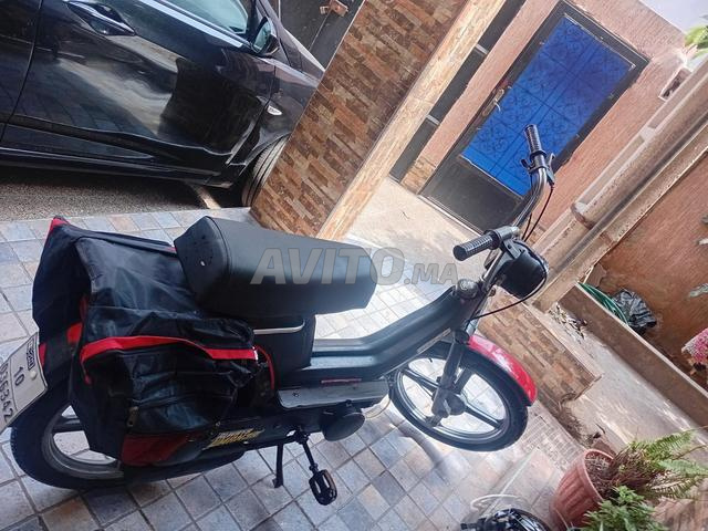 مطوّر بياتجو إيطاليا - 2