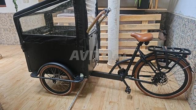 Tricycle cargo à vendre - 2