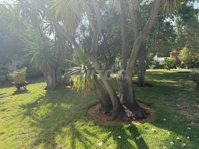 Villa avec Piscine à Louer Souissi RABAT