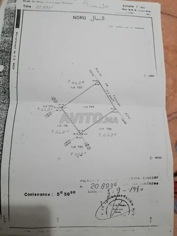 أرض 538 م² مصونة - 2