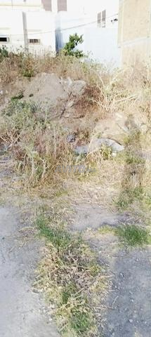 كزناية طنجة - 2