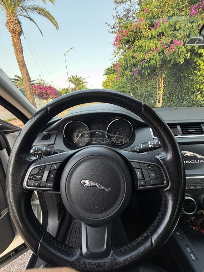 jaguar xe 2019