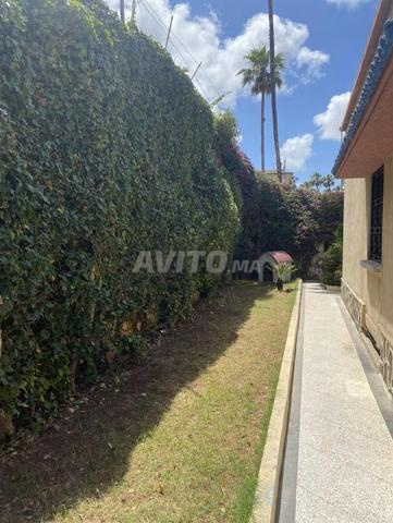 Villa luxe, jardin. Gros