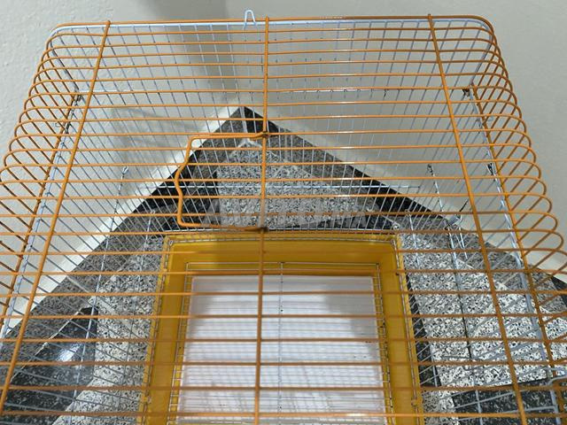 Cage à oiseaux très propre pour trois oiseaux