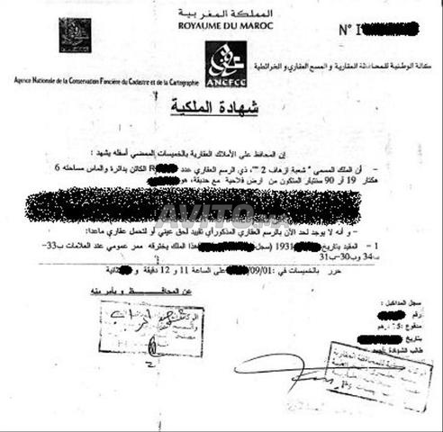 6 هكتارات للبيع بجمعة حودران - 2