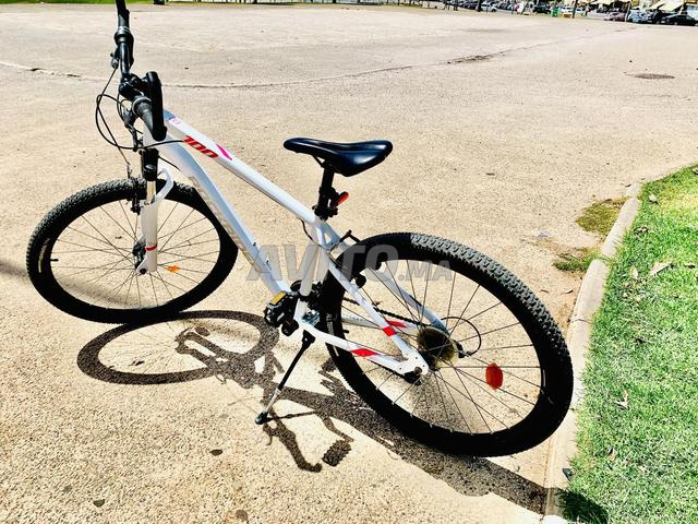 Rockrider - 2