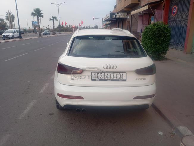 Q3 bonita model 2012
