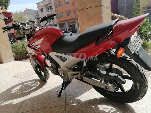 Honda Twister 250 WW Maroc - 2
