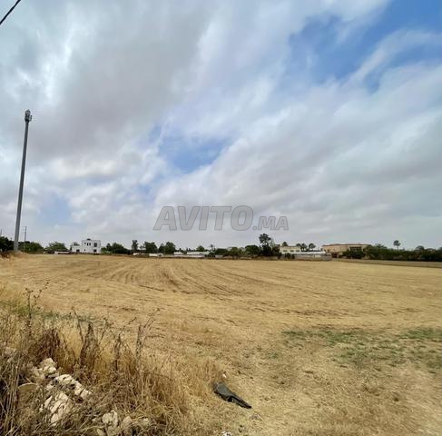 Terrain à vendre à Bouskoura Lebissa - 2