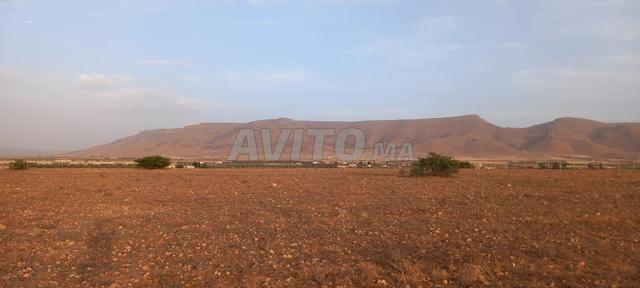 Terrain titré à vendre, à 14 km d'Oujda