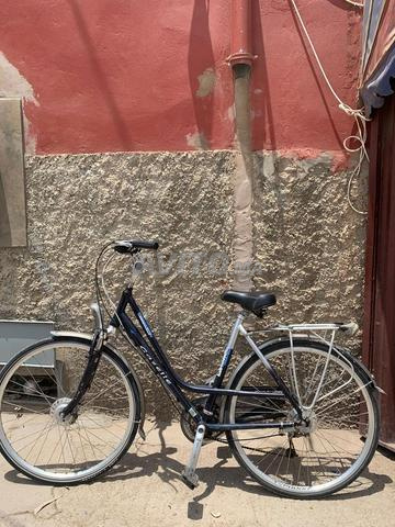 Gazelle originale - 2