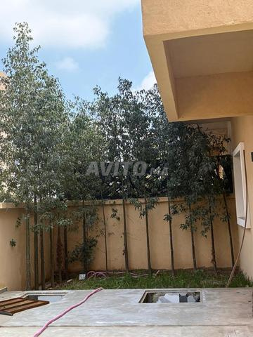 فيلا فسيحة مع حديقة ومسبح - 2