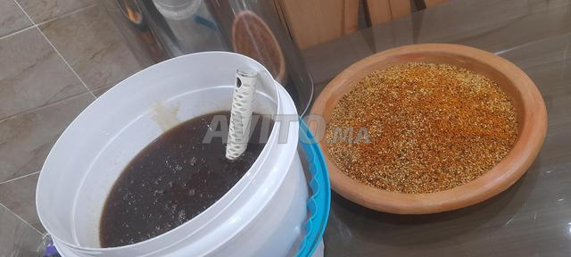 عسل حر طبيعي بدون علف - 2