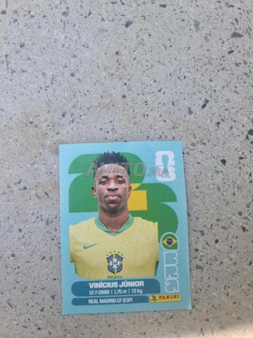 Vini junior - 2