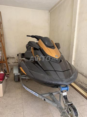 SVHO FX 1800 2024