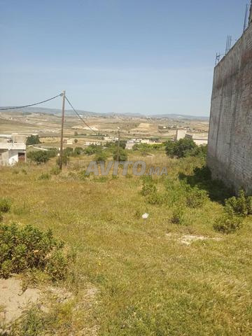 Terrain à vendre à Sidi Hssain - 2