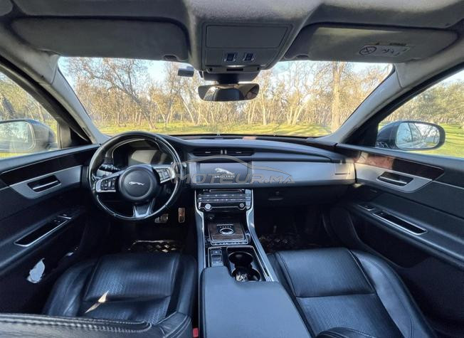 Jaguar XF Black Edition  