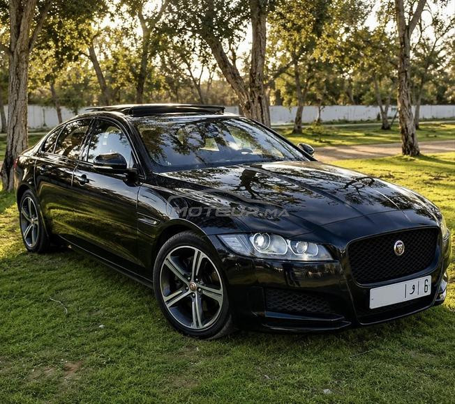 Jaguar XF Black Edition  