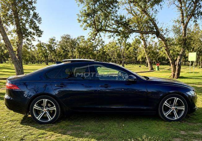 Jaguar XF Black Edition  