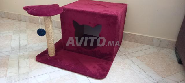 Maison pour animaux - 2