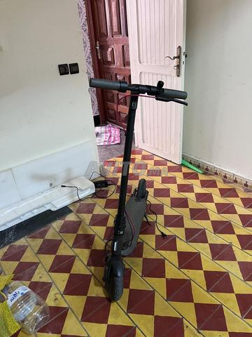 سكوتر كهربائي