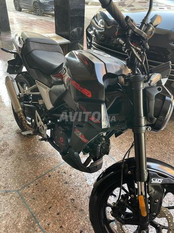 Cimatti Mt 05 - 2