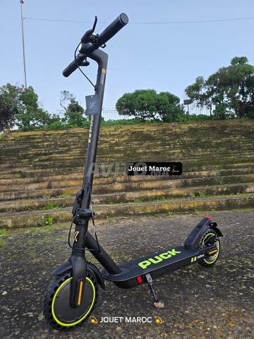 NOUVEAU ECOXTREM PUCK - 2
