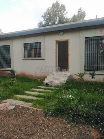 maison à vendre avec peicin 700 m 2 - 2