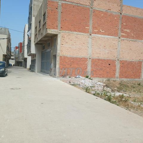 كازينا طنجة