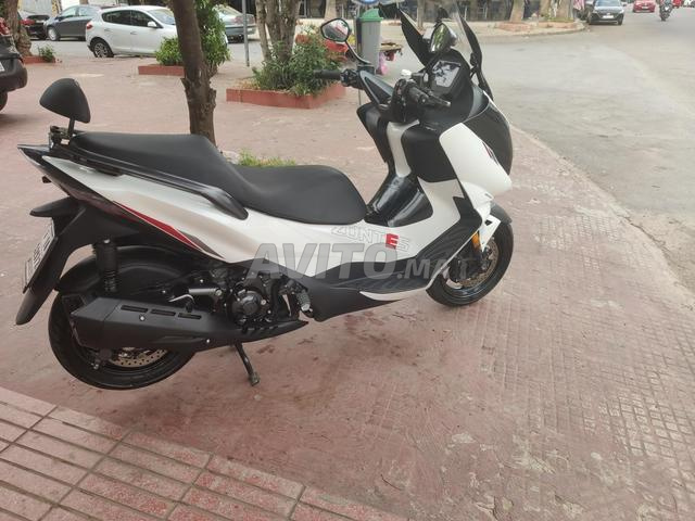 زونتس 350e - 2