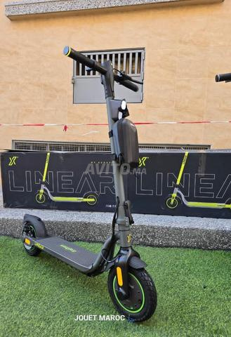 Trottinette Ecoxtrem linear - 2