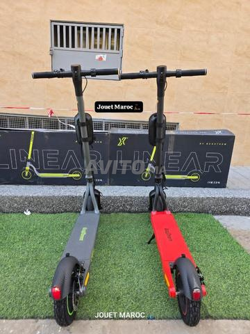 Trottinette Ecoxtrem Linaer - 2