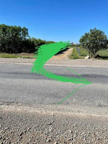 Hectare et demi agricole titré à vendre à 60 mètres du bitume - 2
