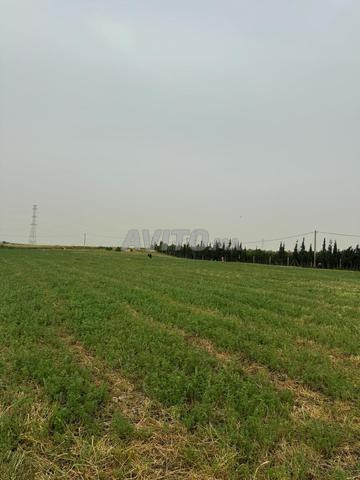 ضيعة تيتري للبيع - 2