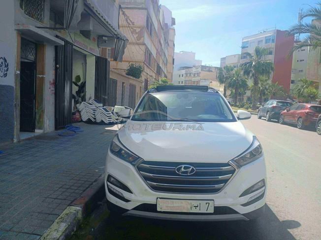 دوانة 2025. عامرة